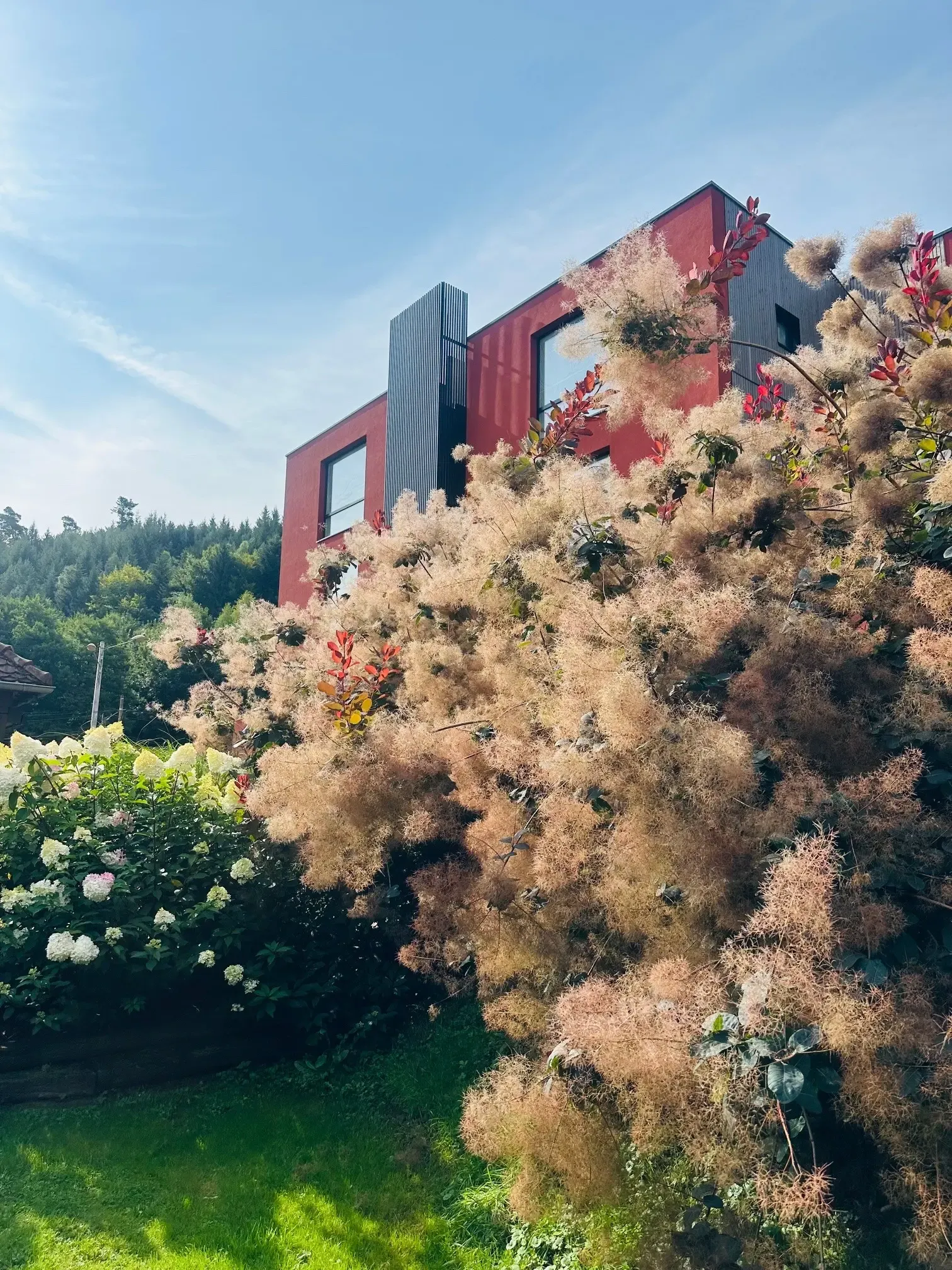 Maison moderne rouge avec de grandes fenêtres, entourée d'une végétation luxuriante et fleurie, sur un terrain en pente avec des arbres en arrière-plan