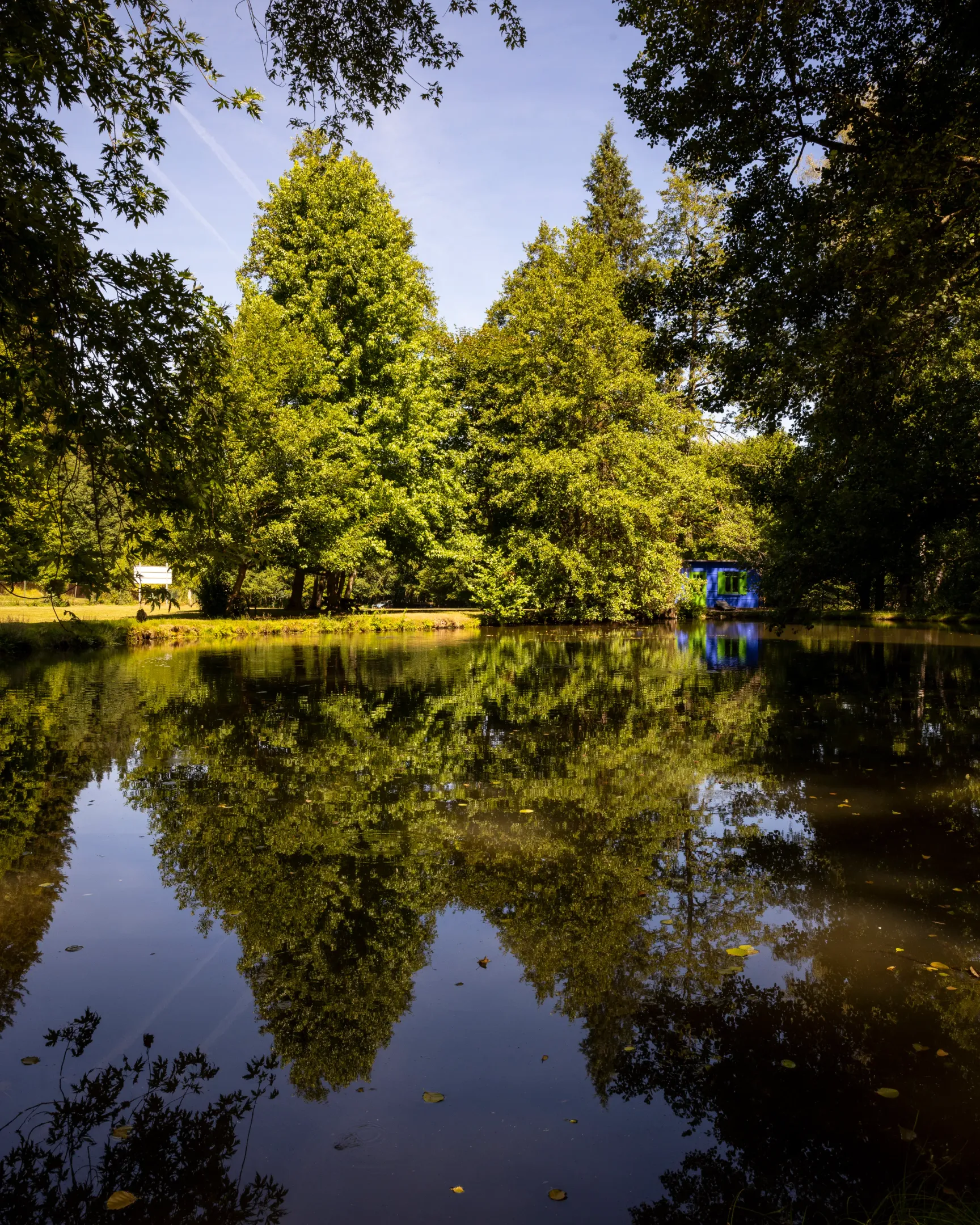 Un étang reflète les arbres et le ciel, avec des structures visibles en arrière-plan